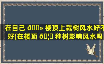 在自己 🌻 楼顶上栽树风水好不好(在楼顶 🦁 种树影响风水吗)